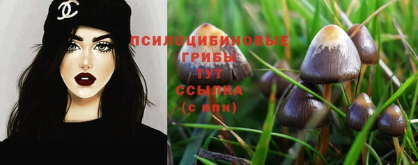 прущие крисы Алексин