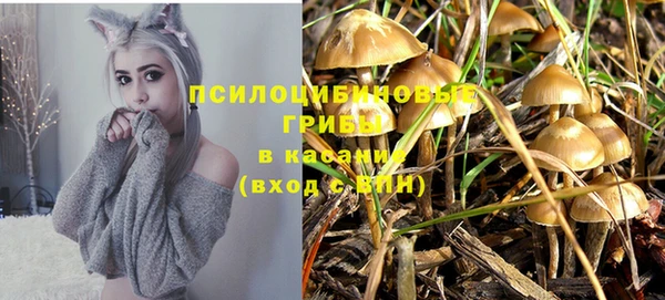 прущие крисы Алексин